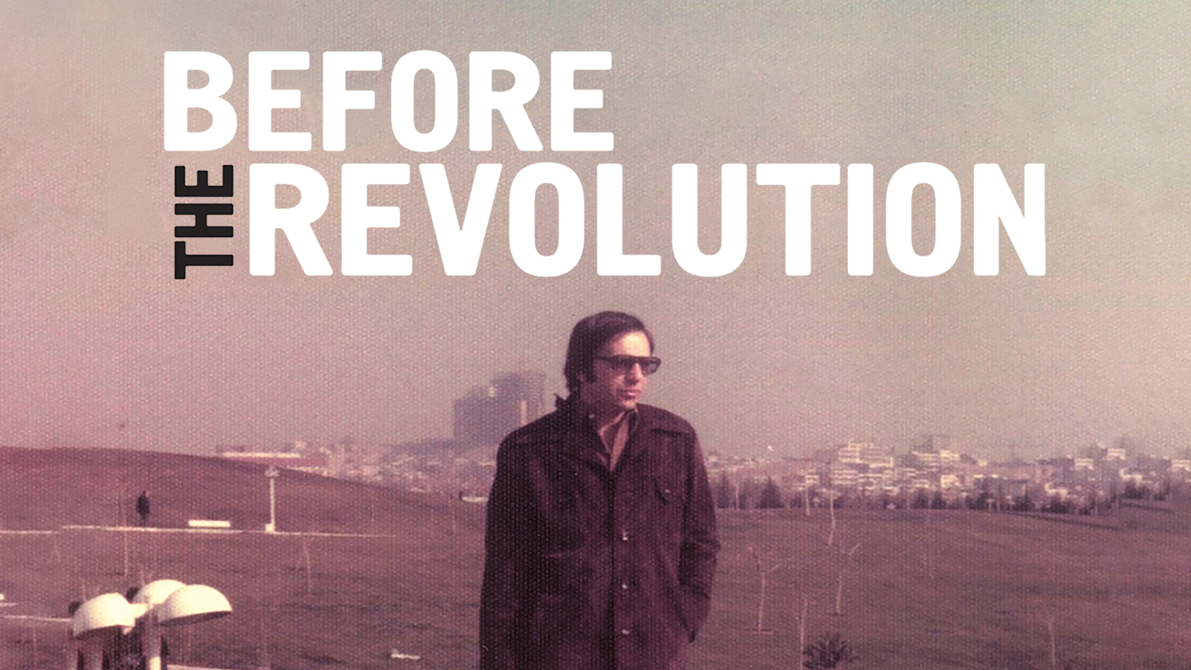 Before the Revolution poster